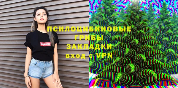 ешки Медногорск
