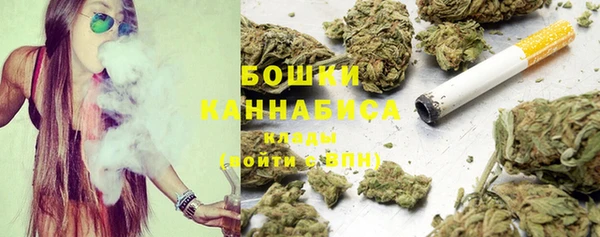 ешки Медногорск